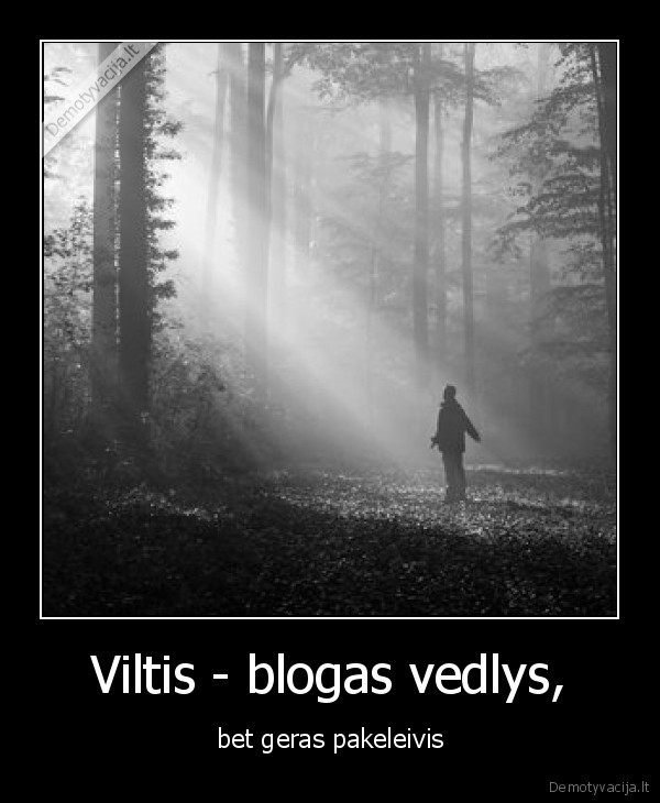 Viltis - blogas vedlys, - bet geras pakeleivis