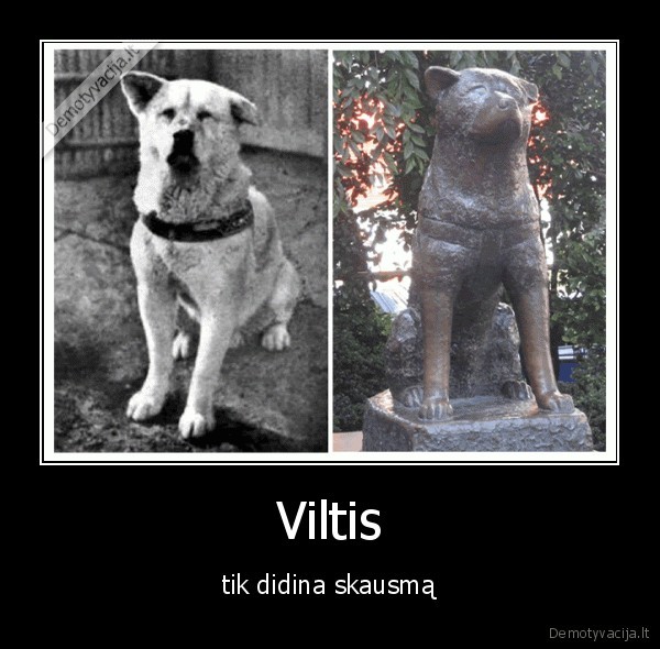 Viltis - tik didina skausmą