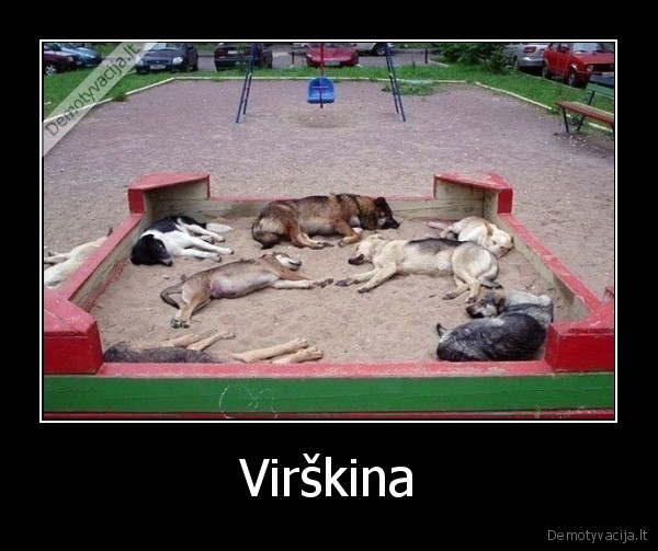 Virškina - 