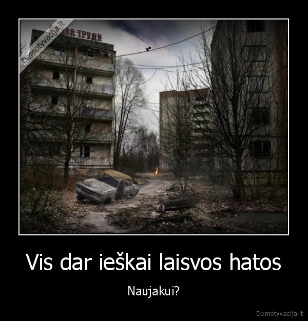 Vis dar ieškai laisvos hatos - Naujakui?