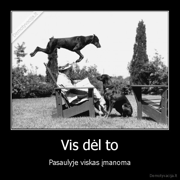 Vis dėl to - Pasaulyje viskas įmanoma