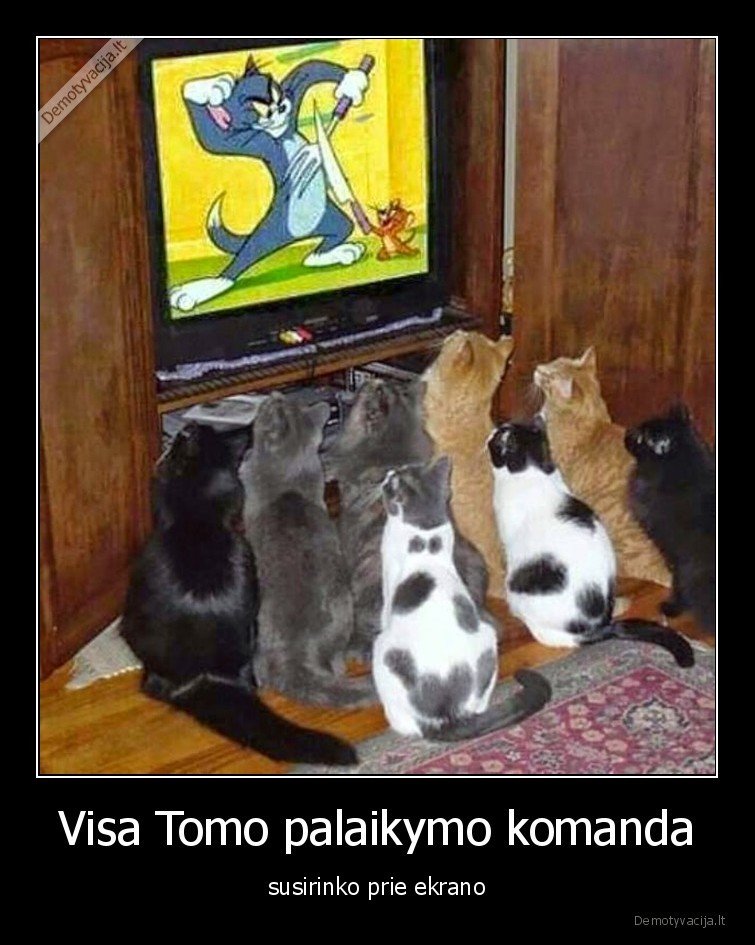 Visa Tomo palaikymo komanda - susirinko prie ekrano