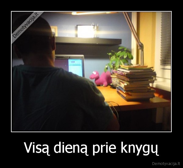 Visą dieną prie knygų - 