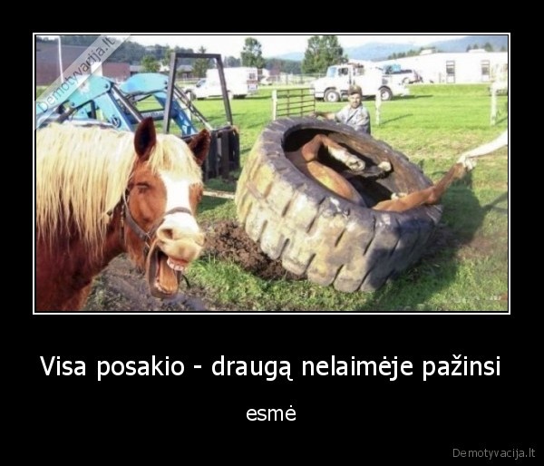 Visa posakio - draugą nelaimėje pažinsi - esmė