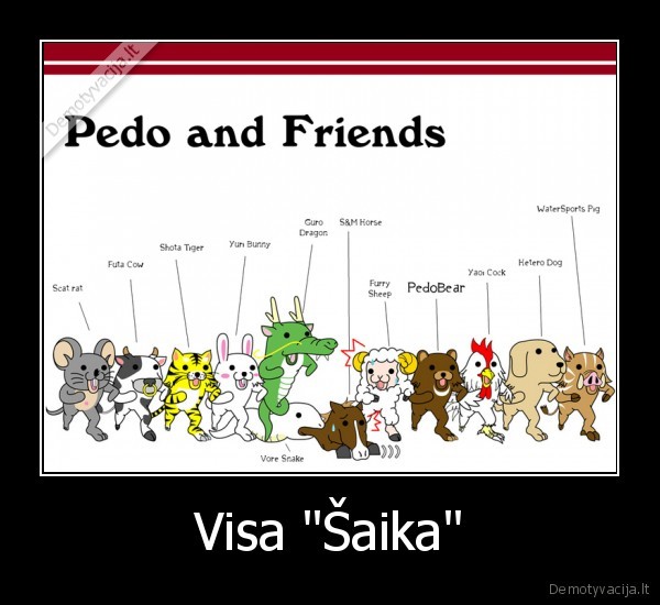 Visa "Šaika" - 