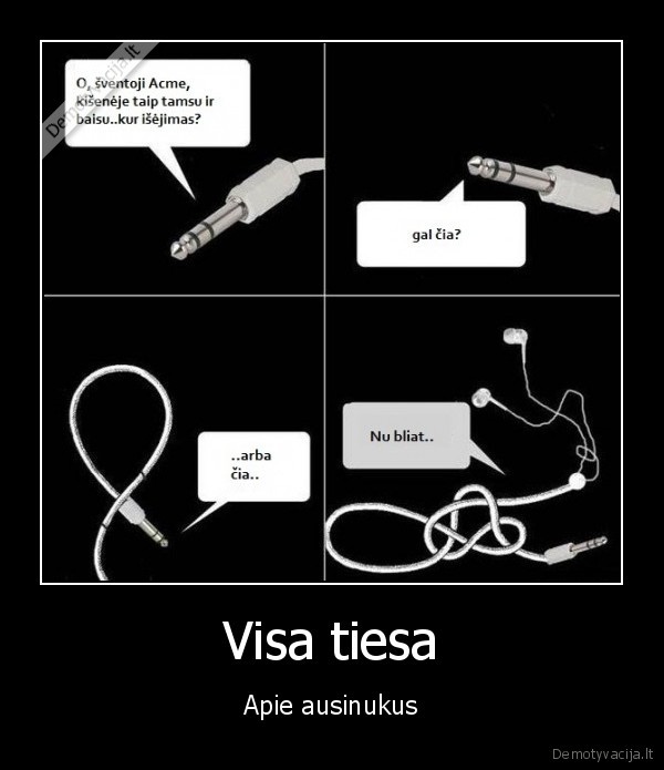 Visa tiesa - Apie ausinukus