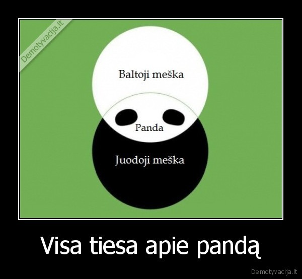 Visa tiesa apie pandą - 