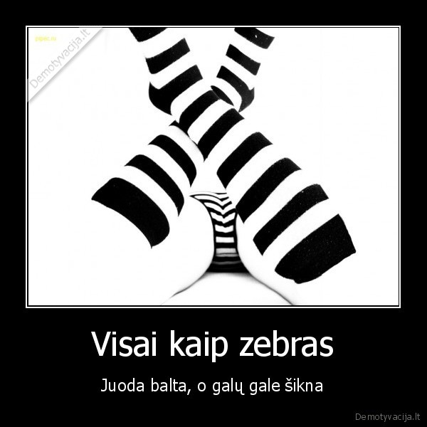 Visai kaip zebras - Juoda balta, o galų gale šikna