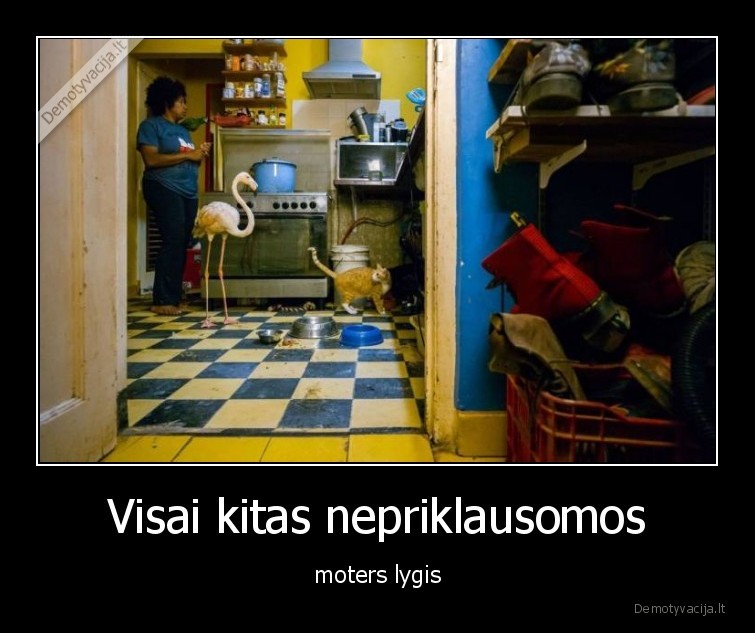 Visai kitas nepriklausomos - moters lygis