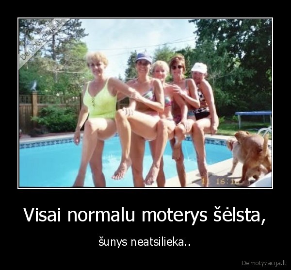 Visai normalu moterys šėlsta, - šunys neatsilieka..