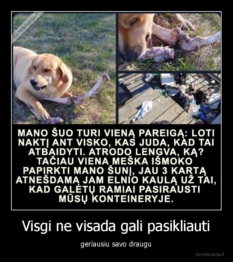 Visgi ne visada gali pasikliauti - geriausiu savo draugu