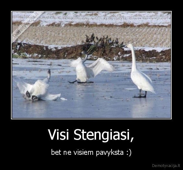 Visi Stengiasi, - bet ne visiem pavyksta :)