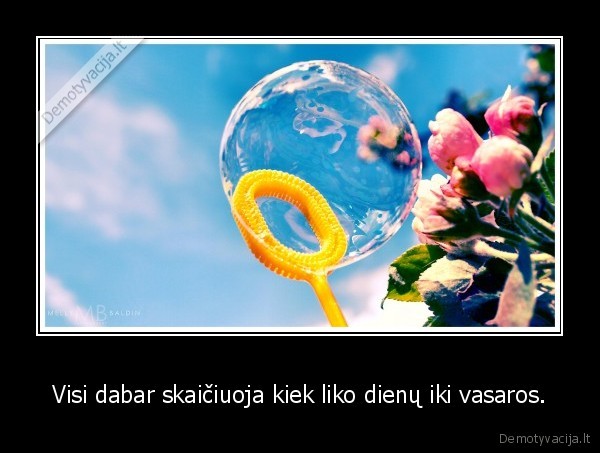 Visi dabar skaičiuoja kiek liko dienų iki vasaros. - 