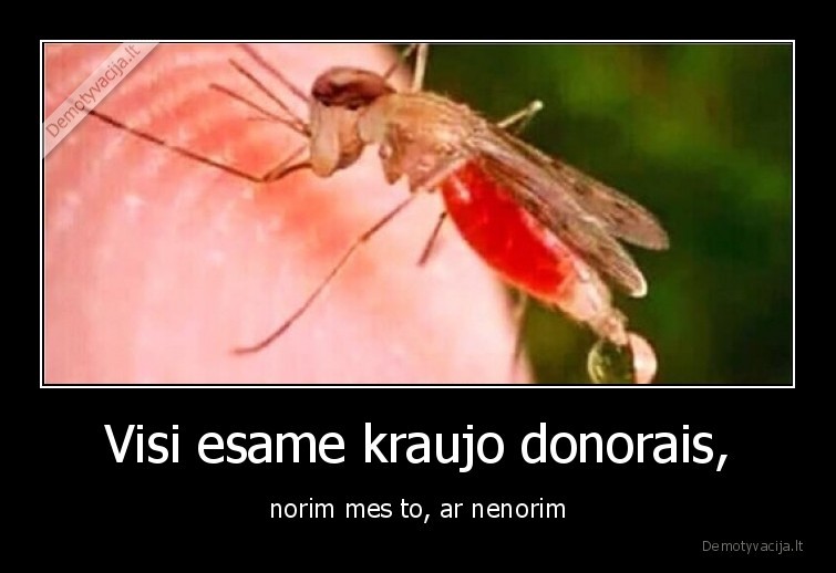 Visi esame kraujo donorais, - norim mes to, ar nenorim