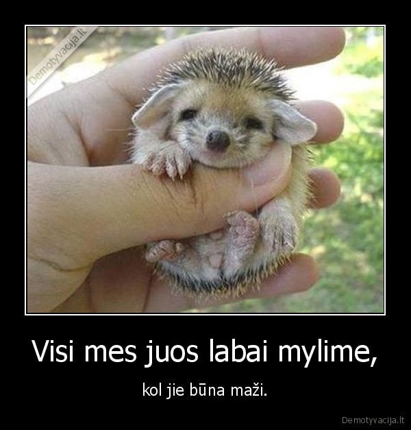 Visi mes juos labai mylime, - kol jie būna maži.