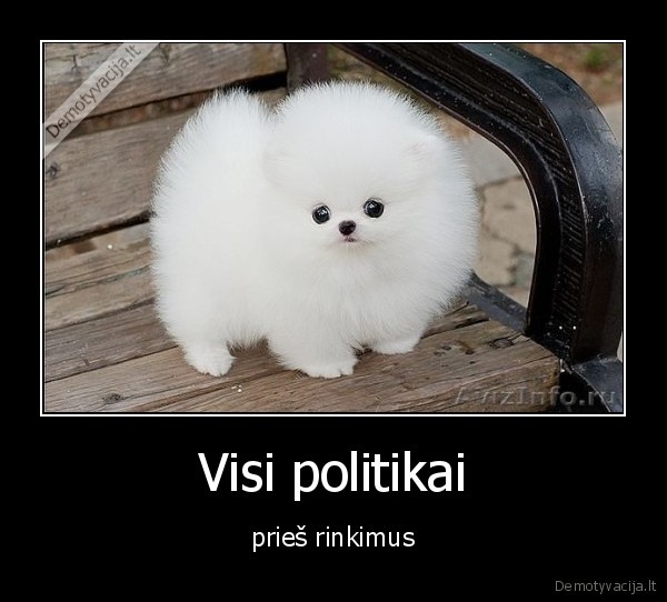 Visi politikai - prieš rinkimus