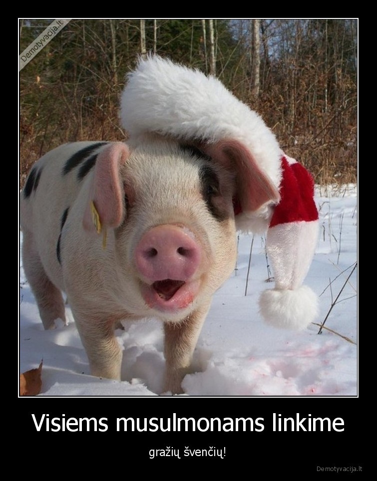 Visiems musulmonams linkime - gražių švenčių!