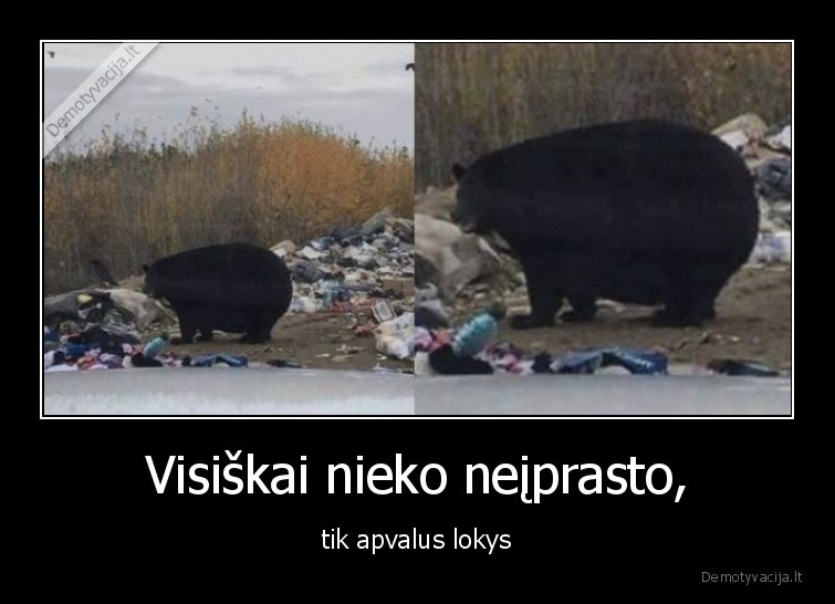 Visiškai nieko neįprasto, - tik apvalus lokys