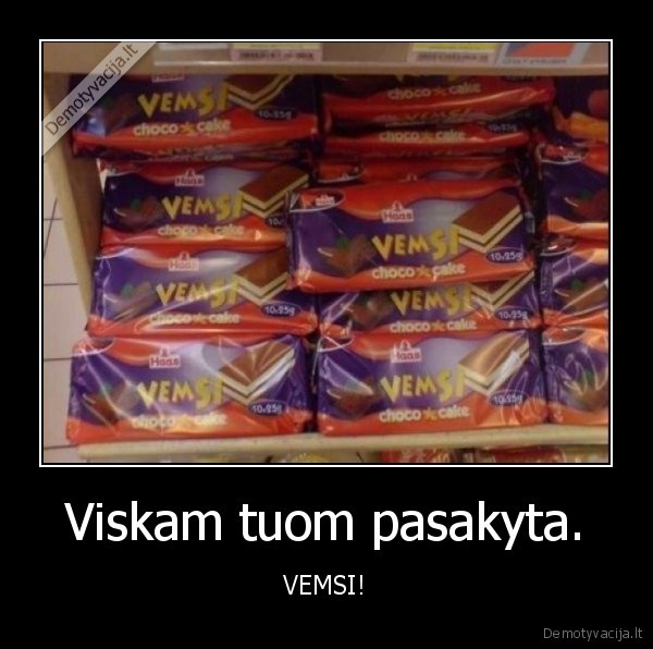 Viskam tuom pasakyta. - VEMSI!