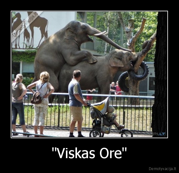 "Viskas Ore" - 