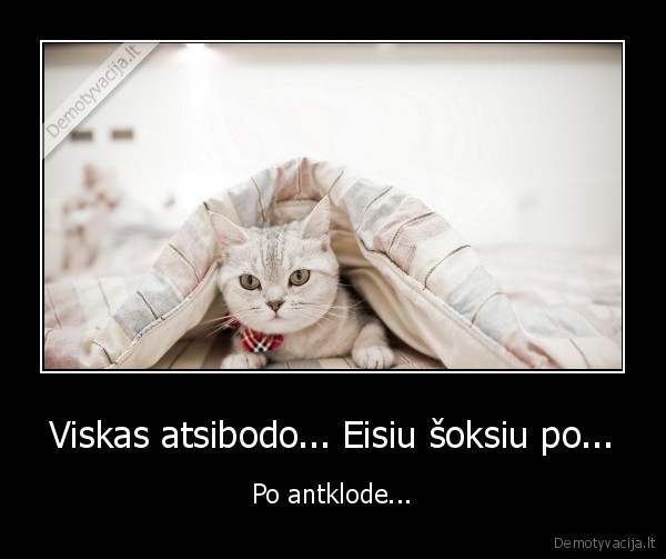 Viskas atsibodo... Eisiu šoksiu po... - Po antklode...