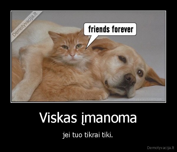 Viskas įmanoma - jei tuo tikrai tiki.