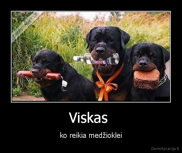 Viskas  - ko reikia medžioklei