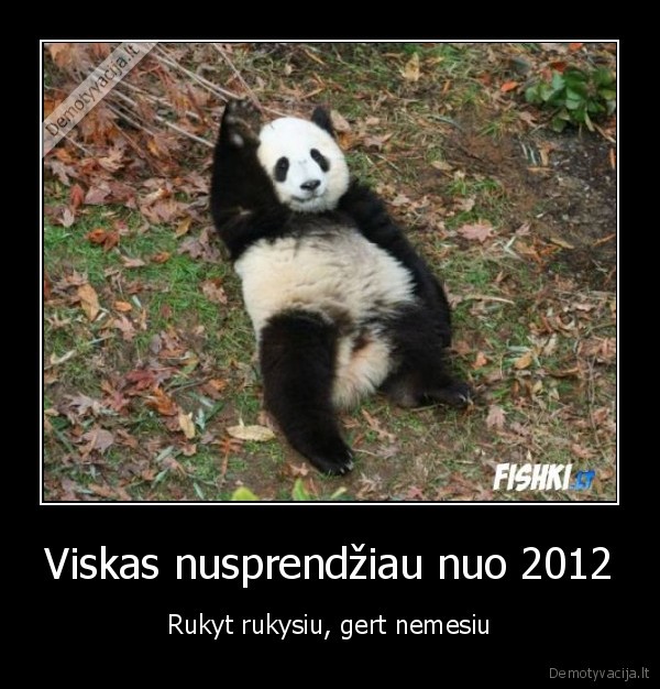 Viskas nusprendžiau nuo 2012 - Rukyt rukysiu, gert nemesiu