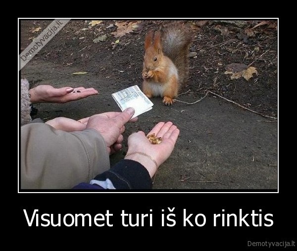 Visuomet turi iš ko rinktis - 