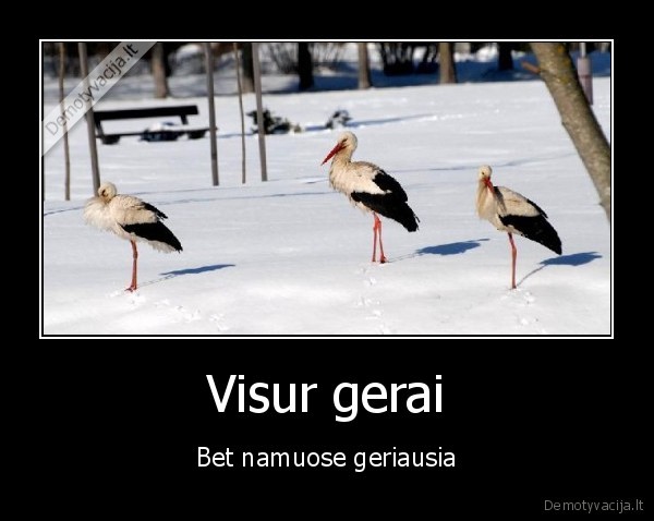 Visur gerai - Bet namuose geriausia