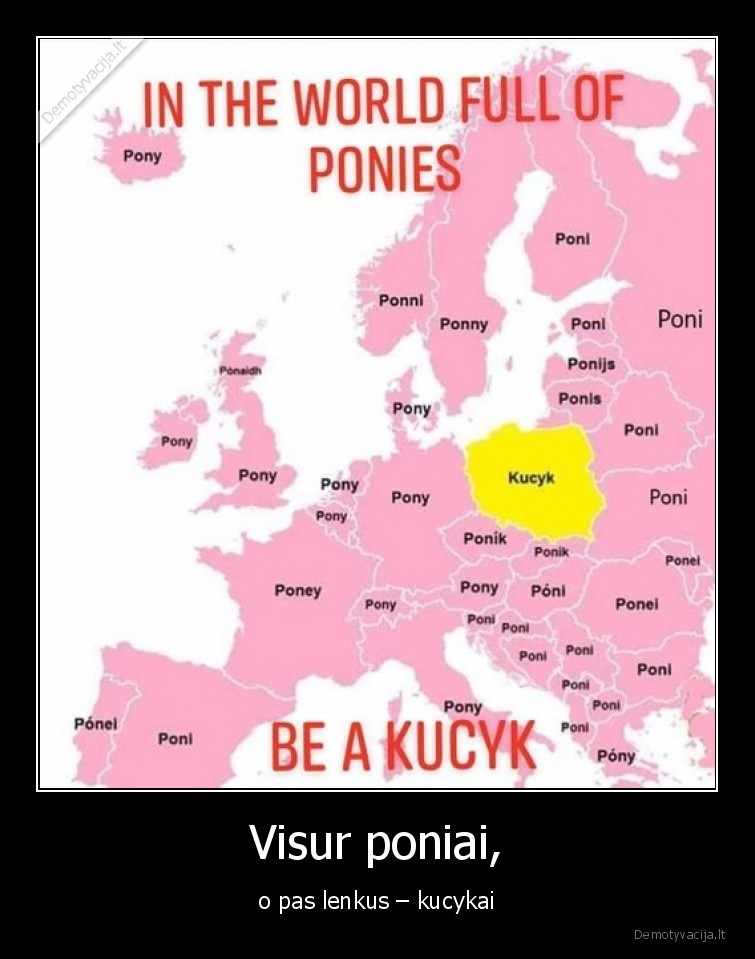 Visur poniai, - o pas lenkus – kucykai