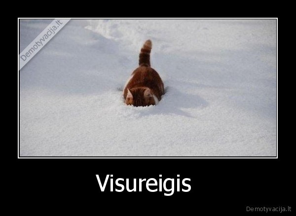 Visureigis  - 