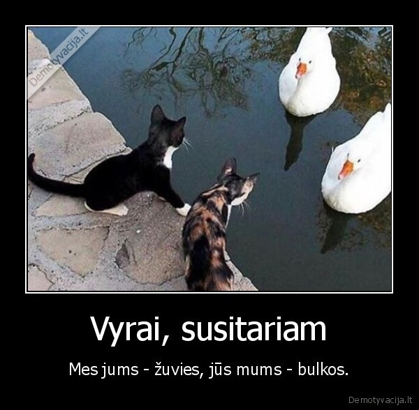 Vyrai, susitariam - Mes jums - žuvies, jūs mums - bulkos.