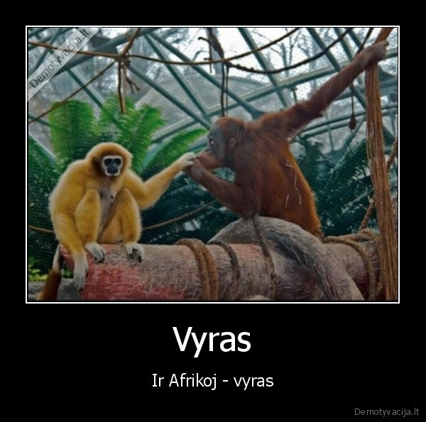 Vyras - Ir Afrikoj - vyras