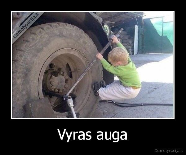 Vyras auga - 