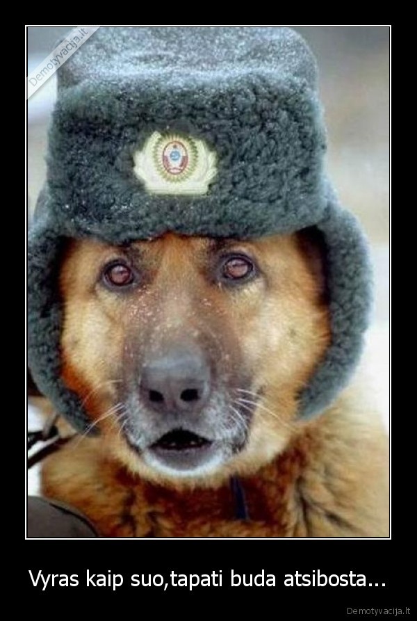 Vyras kaip suo,tapati buda atsibosta... - 