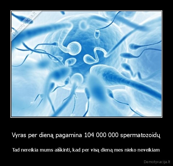 Vyras per dieną pagamina 104 000 000 spermatozoidų - Tad nereikia mums aiškinti, kad per visą dieną mes nieko neveikiam