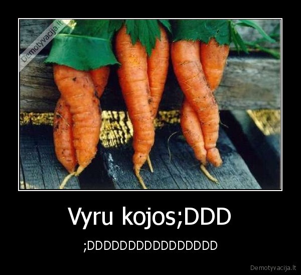 Vyru kojos;DDD - ;DDDDDDDDDDDDDDDD