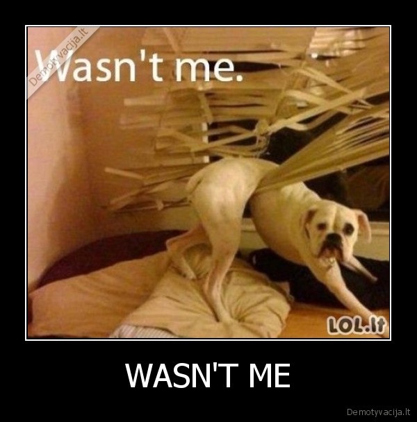 WASN'T ME - 