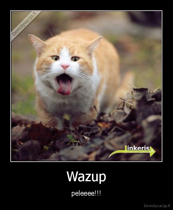 Wazup - peleeee!!!