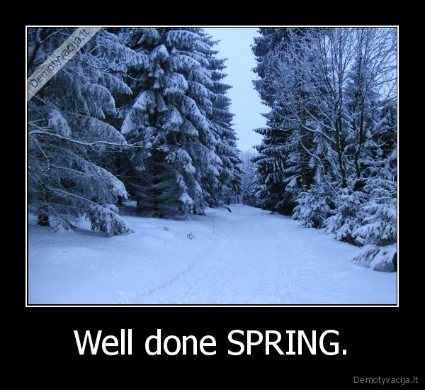 Well done SPRING. - 