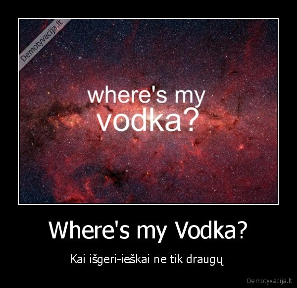 Where's my Vodka? - Kai išgeri-ieškai ne tik draugų 