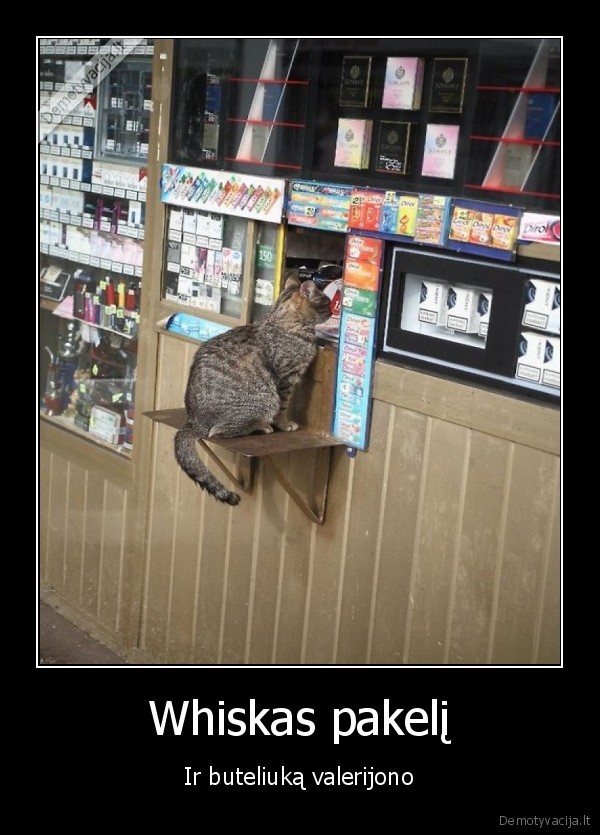 Whiskas pakelį - Ir buteliuką valerijono