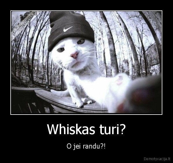 Whiskas turi? - O jei randu?!