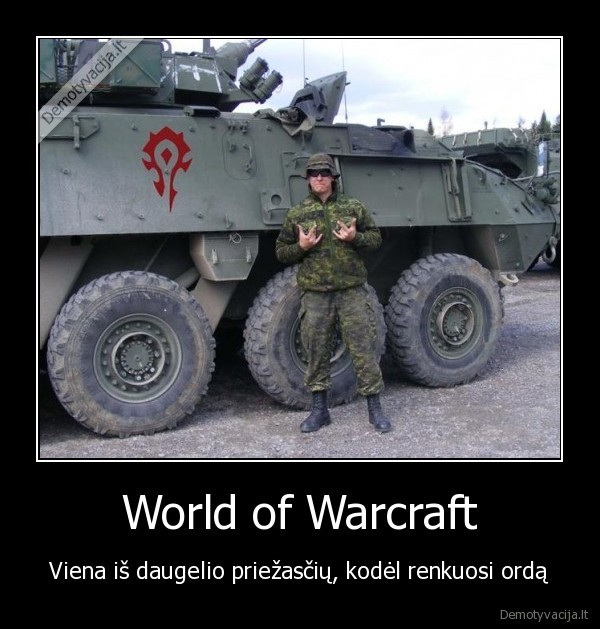 World of Warcraft - Viena iš daugelio priežasčių, kodėl renkuosi ordą