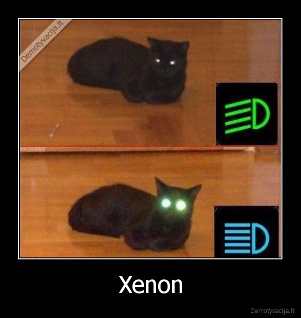 Xenon - 