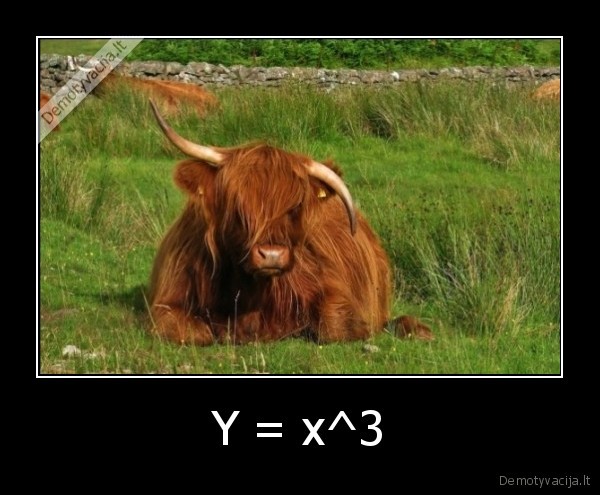 Y = x^3 - 