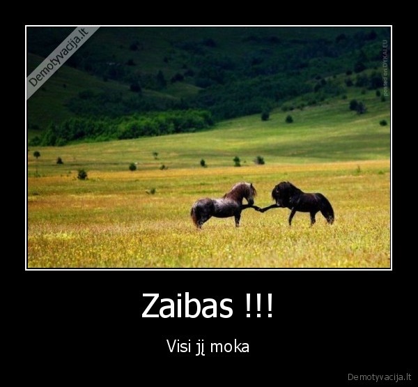 Zaibas !!! - Visi jį moka