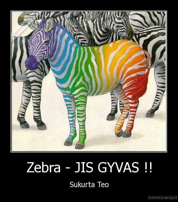 Zebra - JIS GYVAS !! - Sukurta Teo