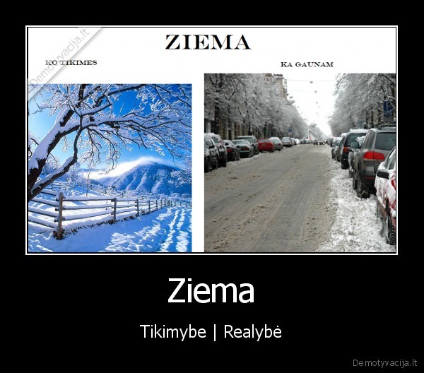 Ziema - Tikimybe | Realybė